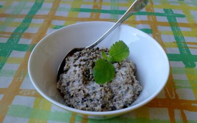 Kuituinen tuorepuuro